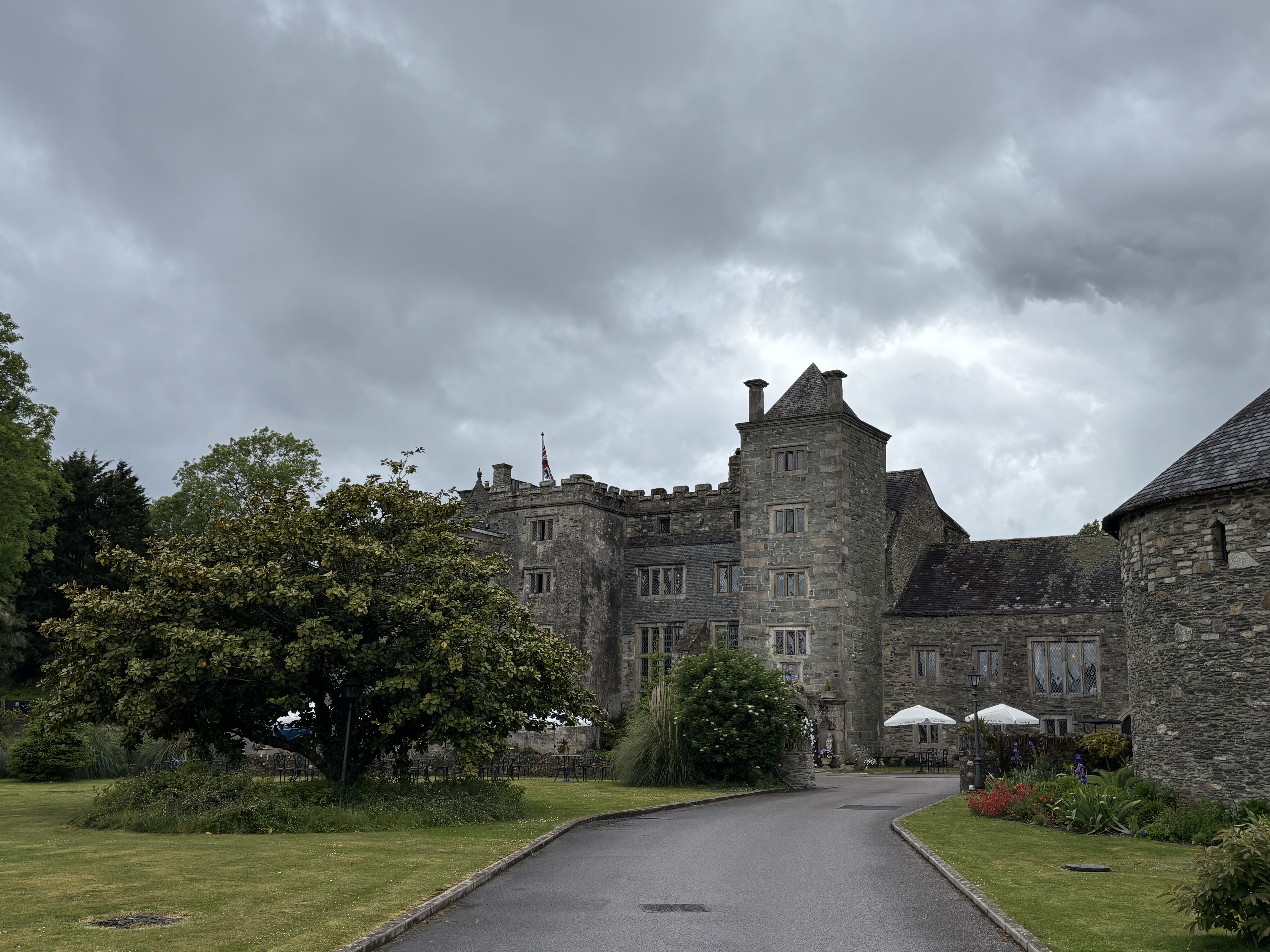 Soloist at Boringdon Hall Hotel.